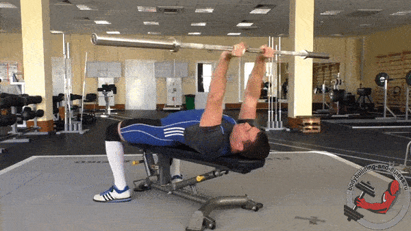 bodybuilding-and-fitness giphyupload grif zhim francuzskiy-zhim GIF