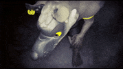 Loup Garou 3D GIF