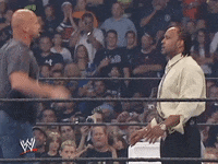 wwe sports wwe wrestling summerslam GIF