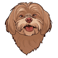 chloeezoey chloez Sticker