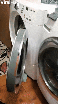 Husky Doesnt Want To Get Out Of The Dryer GIF by ViralHog
