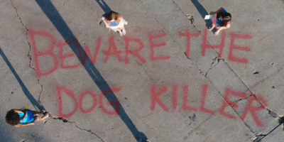 under the silver lake GIF by A24