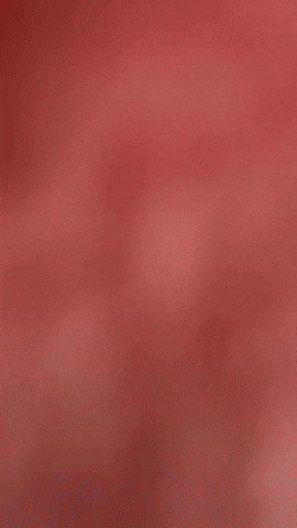 Spongebob Patrick GIF by Youtooz