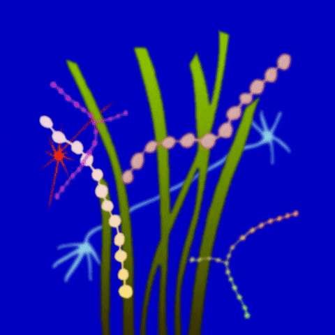 Art Animation GIF by Zsófi Szénásy