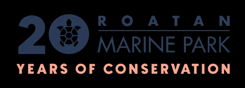 Anniversary GIF by Roatan Marine Park