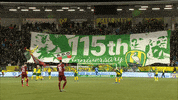 GIF by FOX Sports