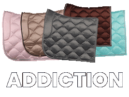Horses Addiction Sticker by Epplejeck Horse & Rider Superstores