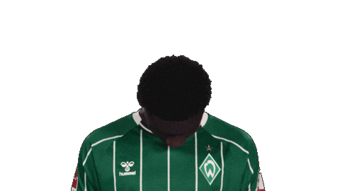 Werder Bremen Sticker by Bundesliga