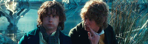 pippin GIF