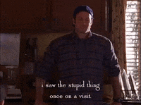 season 2 netflix GIF by Gilmore Girls 