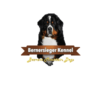 Berner Sticker by Bernersieger Kennel