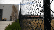 Huntedau GIF by Hunted Australia