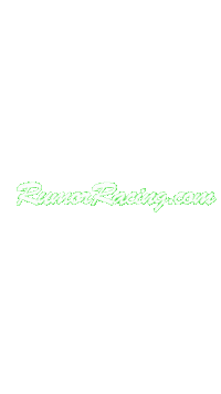 Japan Race Sticker by Rumor Racing