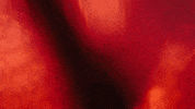 Neonrated GIF by NEON