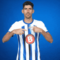 Andreas Bouchalakis Football GIF by Hertha BSC