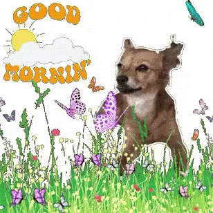 Good Morning Gm GIF by Breathing Room