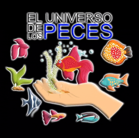 Logo Peces GIF by eluniversodelospeces
