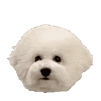 Wataamekun Sticker