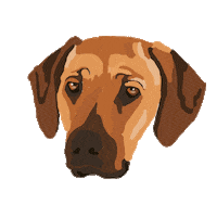 diffrent_design dog confused doggo seriously Sticker