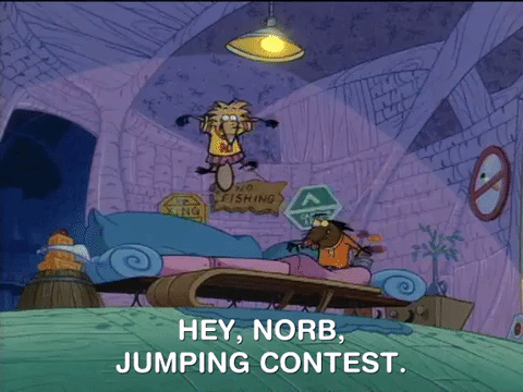 nicksplat angry beaver GIF