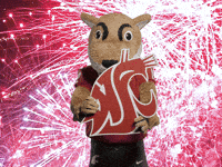 Washington State Go Cougs GIF by WSU Pullman