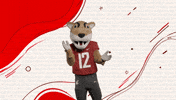 Washington State Go Cougs GIF by WSU Pullman