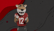 Washington State Go Cougs GIF by WSU Pullman