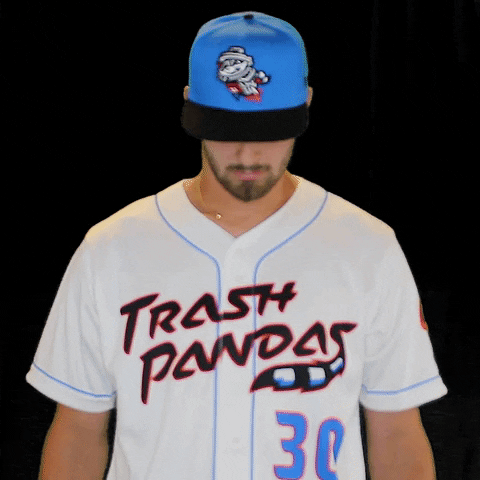 Southern League Baseball GIF by Rocket City Trash Pandas