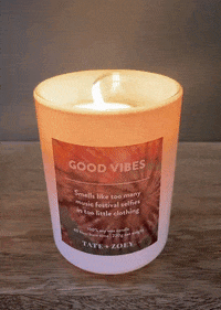GIF by Tate + Zoey