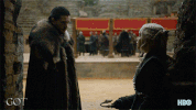 gameofthrones game of thrones hbo season 7 finale GIF
