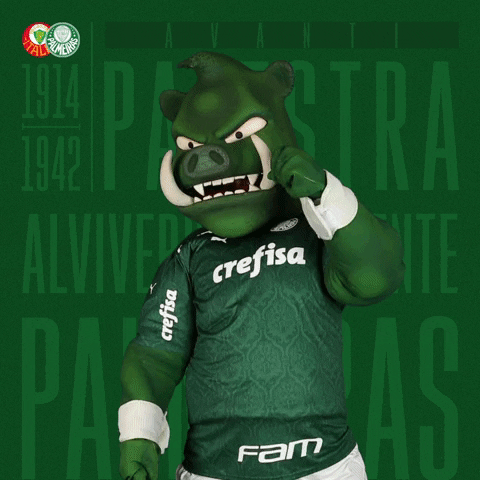 3 2 1 Puma GIF by SE Palmeiras