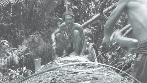 akaidaia giphyupload cinemagraph canoe chopping GIF