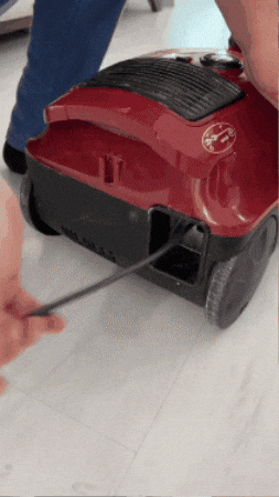 FranMaurice giphygifmaker GIF