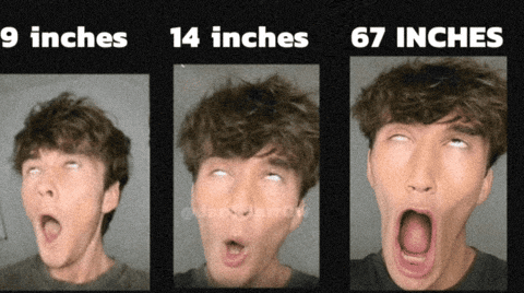 Euphoria Comparison GIF