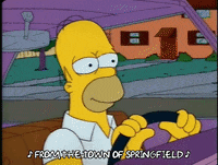 homer simpson GIF
