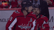 ice hockey GIF by NHL