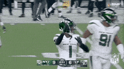 National Football League GIF by NFL