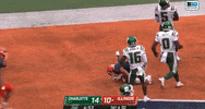 Illini Football Sport GIF by Fighting Illini Athletics