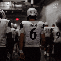 College Football Ncaa GIF by Cincinnati Bearcats