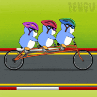 Penguin Bike GIF by Pudgy Penguins