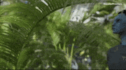 Ubisoft Forward GIF by Ubisoft
