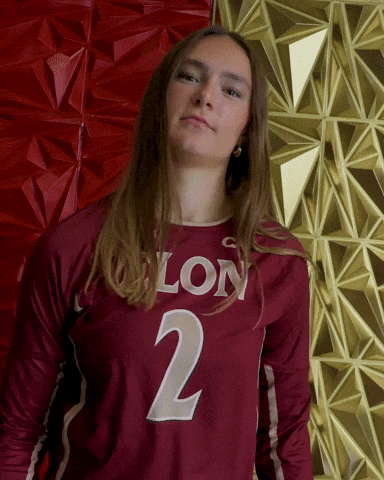 Elon Volleyball GIF by Elon Phoenix
