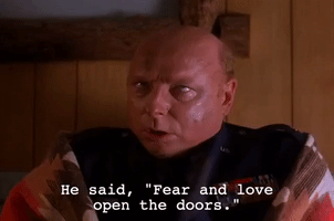 season 2 episode 21 GIF by Twin Peaks on Showtime