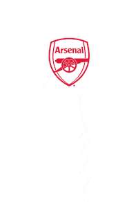 Swipe Up Premier League Sticker by Arsenal