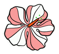 Hawaii Aloha Sticker by ERICA824