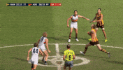 adelaidecrows funny adelaide crows ruck rory sloane GIF