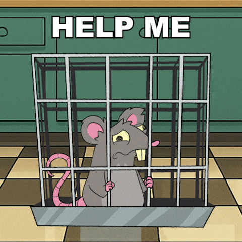 Cheese Help GIF by Web3 Playboys