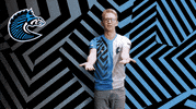 Wtf GIF by BS+COMPETITION