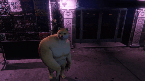 Doge Dogecoin GIF