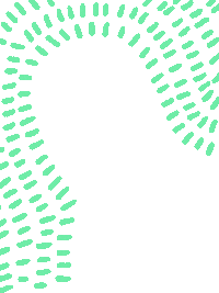 Green Sticker by Winterland Festival